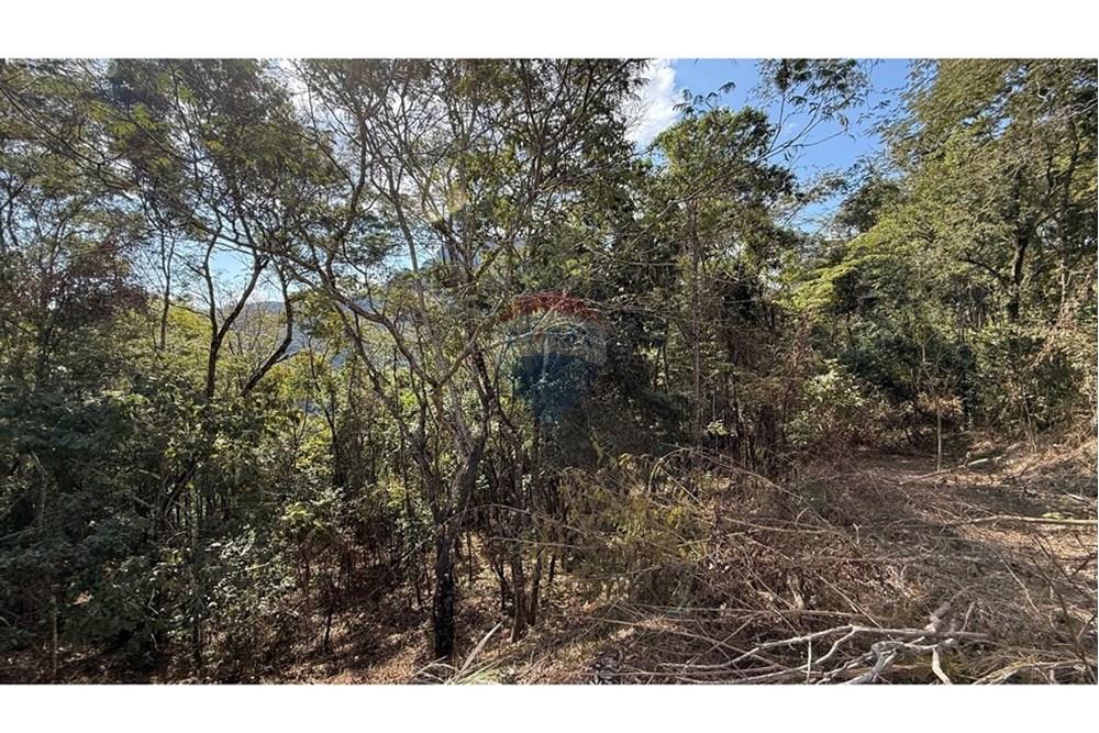 Terreno - Venda - Nova Lima , Minas Gerais - IMG_1425.jpg - 870351059-18