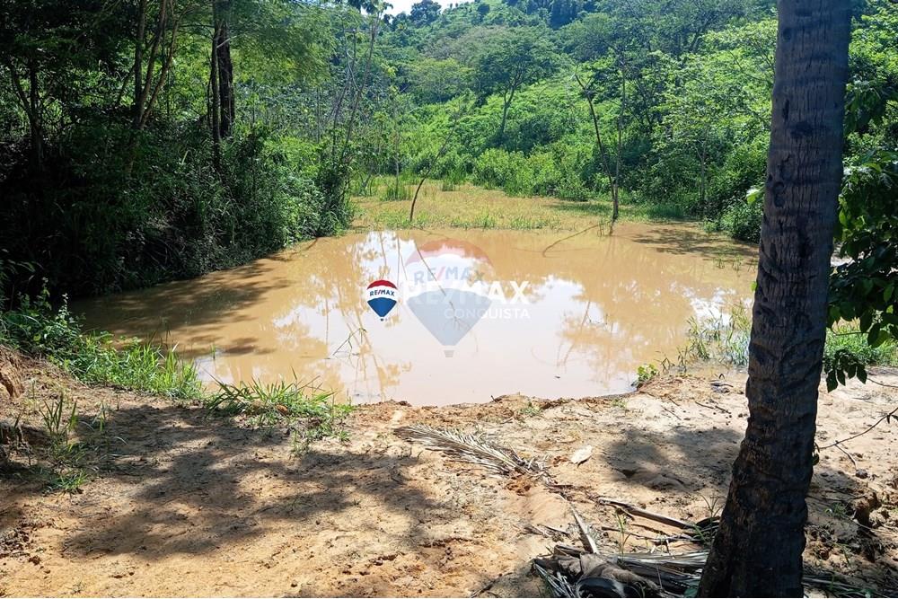Chácara / Sítio / Fazenda - Venda - Pocrane , Minas Gerais - 3_IMG_20241203_083828_watermark_sex._13122024_135653.jpg - 870451001-114