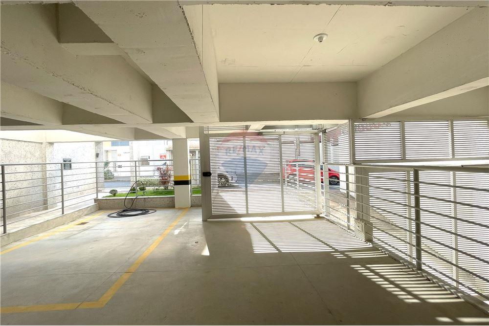 Apartamento - Venda - Belo Horizonte , Minas Gerais - 30 - 870251002-597