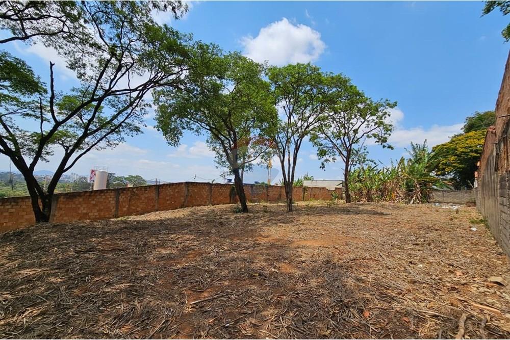 Terreno - Venda - Contagem , Minas Gerais - WhatsApp Image 2025-10-22 at 15.35.13.jpeg - 870411099-49