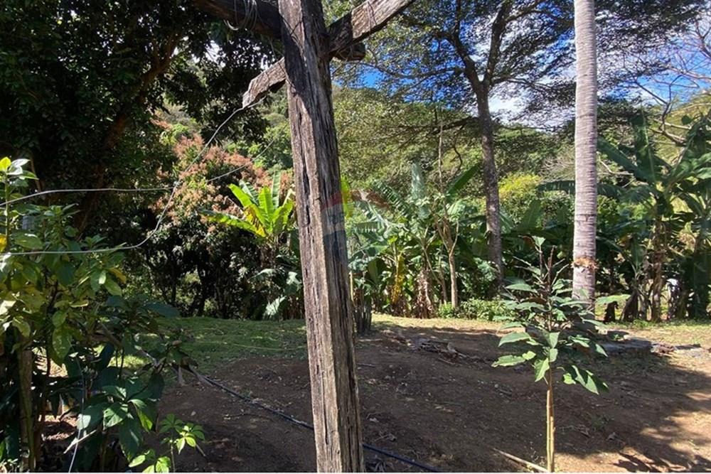 Terreno - Venda - Ipatinga , Minas Gerais - WhatsApp Image 2025-10-09 at 17.37.05 (2).jpeg - 870711007-44