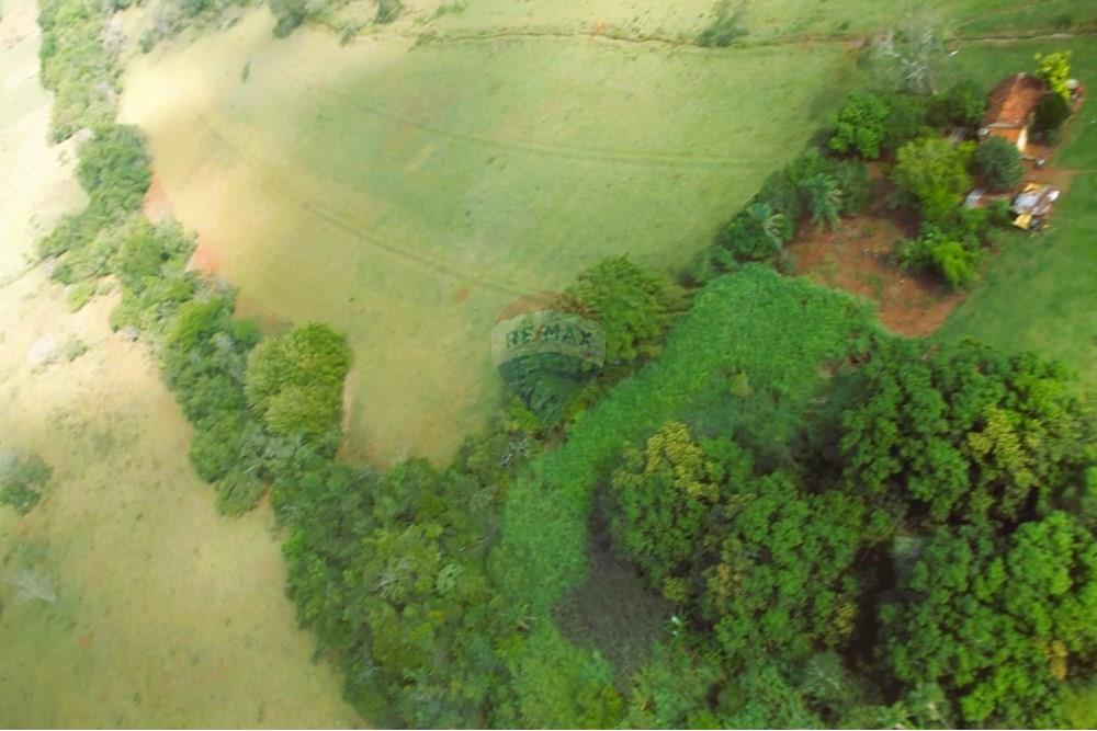 Fazenda - Venda - Uberaba , Minas Gerais - 03 Fazenda Venda R$ 4.500.000 em Uberaba na Remax 870291025-114.jpeg - 870291025-118