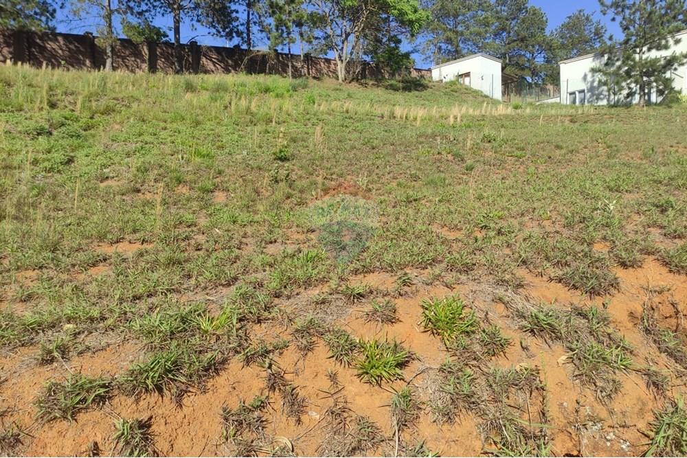 Terreno - Venda - Nova Lima , Minas Gerais - 124dab78-559a-4129-843a-10e716b5902b.jpeg - 870421035-77