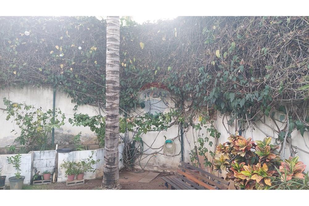 Casa - Venda - Belo Horizonte , Minas Gerais - 20251009_163824.jpg - 870251073-73