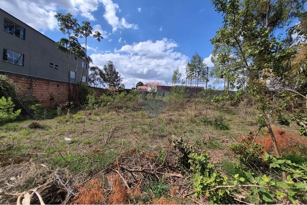 Terreno - Venda - Nova Lima , Minas Gerais - Foto 9.jpeg - 870421061-61
