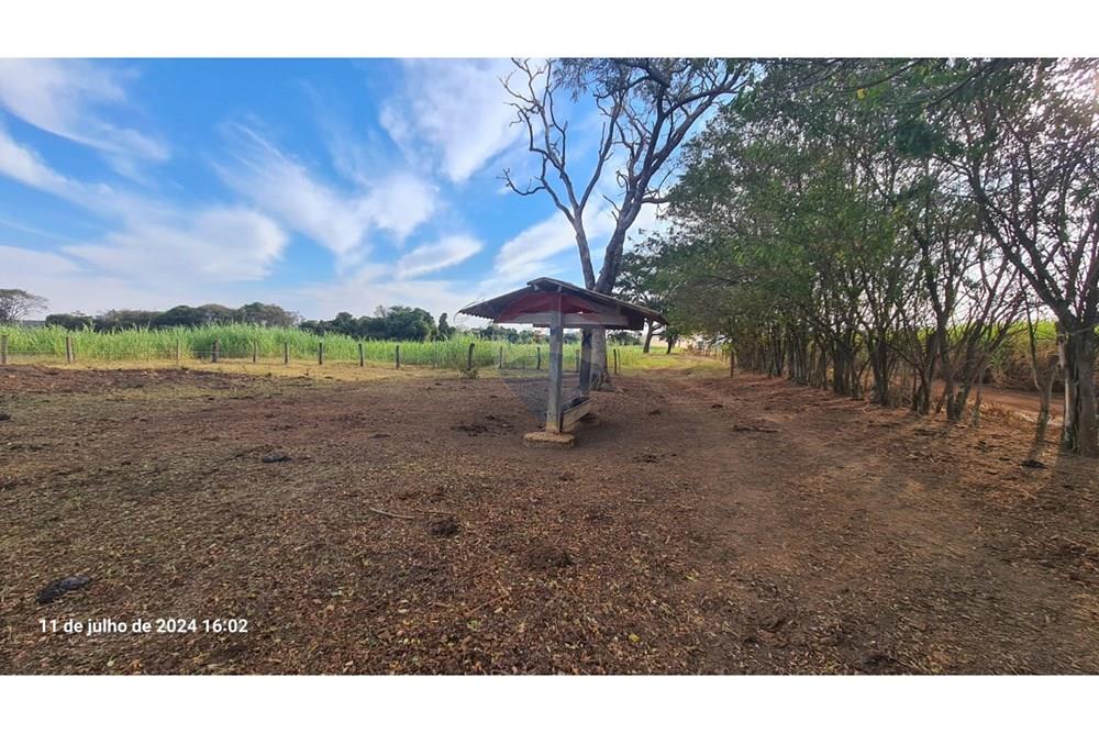 Chácara / Sítio / Fazenda - Venda - Uberaba , Minas Gerais -  (15).jpeg - 870291025-115