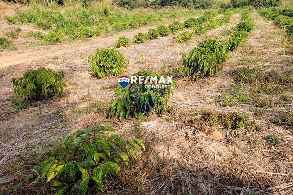 Chácara / Sítio / Fazenda - Venda - Ipanema , Minas Gerais - 9_IMG_20240515_085620_watermark_dom._23062024_100807.jpg - 870451001-121