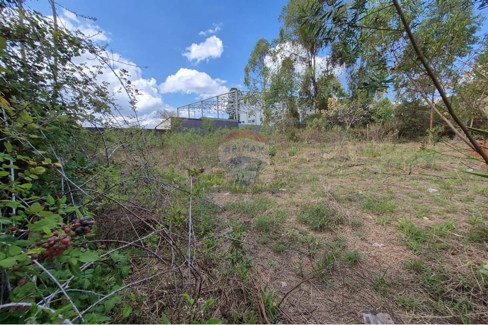 Terreno - Venda - Nova Lima , Minas Gerais - Foto 7.jpeg - 870421061-61