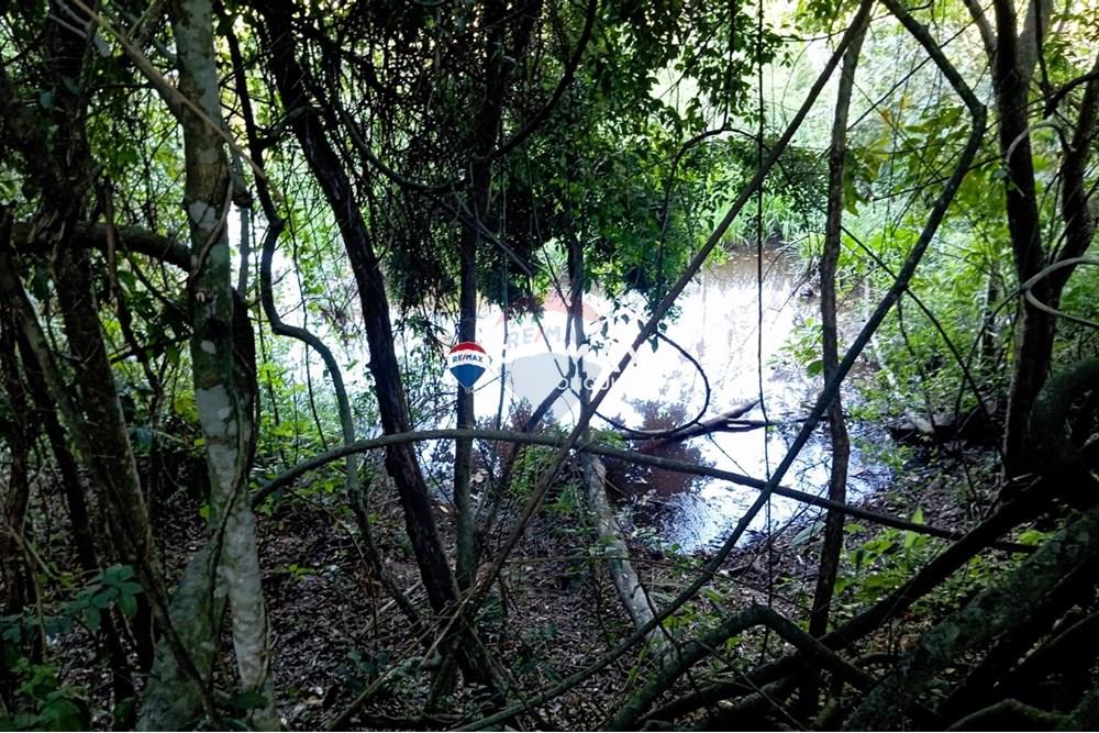 Chácara / Sítio / Fazenda - Venda - Pocrane , Minas Gerais - WhatsApp Image 2025-04-08 at 09.40.31.jpeg - 870451001-124