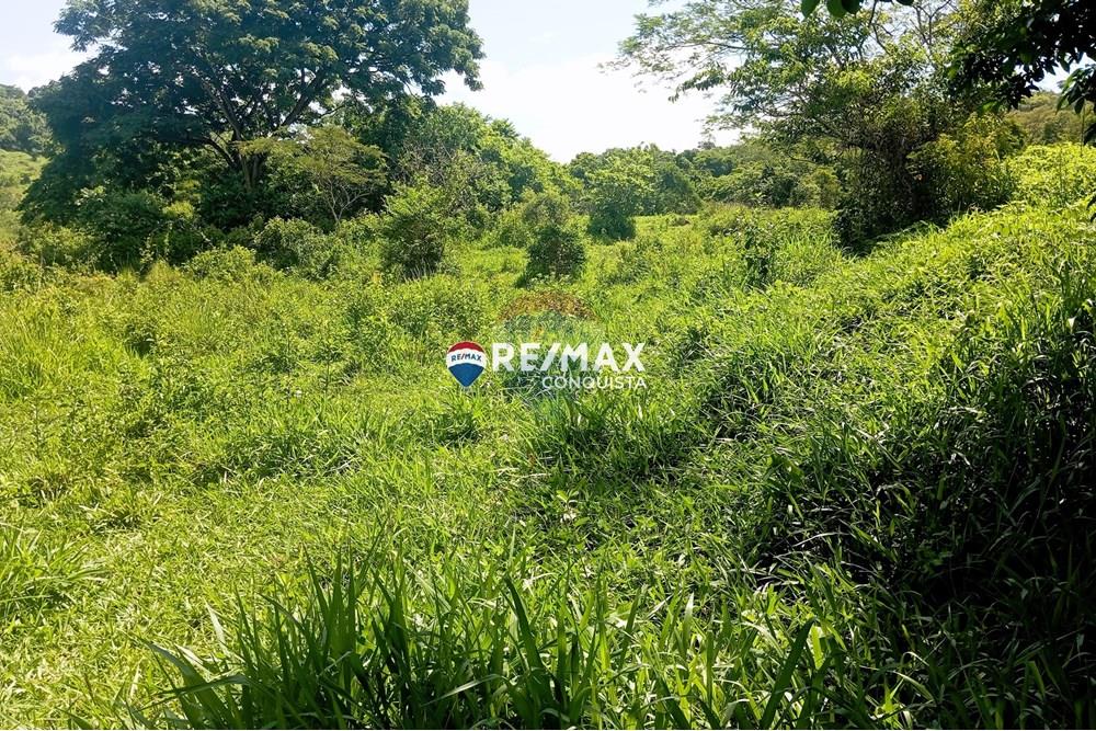 Chácara / Sítio / Fazenda - Venda - Pocrane , Minas Gerais - 8_IMG_20241203_091741_watermark_sex._13122024_135046.jpg - 870451001-114