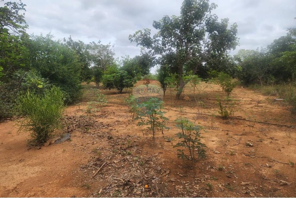 Chácara / Sítio / Fazenda - Venda - Curvelo , Minas Gerais - 3defe5e7-ea12-4f73-bdb9-d698d42390bc.jpeg - 870241024-65