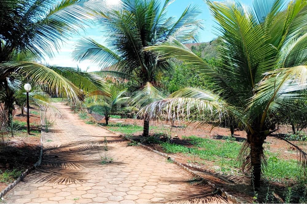 Chácara / Sítio / Fazenda - Venda - Ipanema , Minas Gerais - 5_image_5_watermark_qua._29102025_111911.jpg - 870451004-107