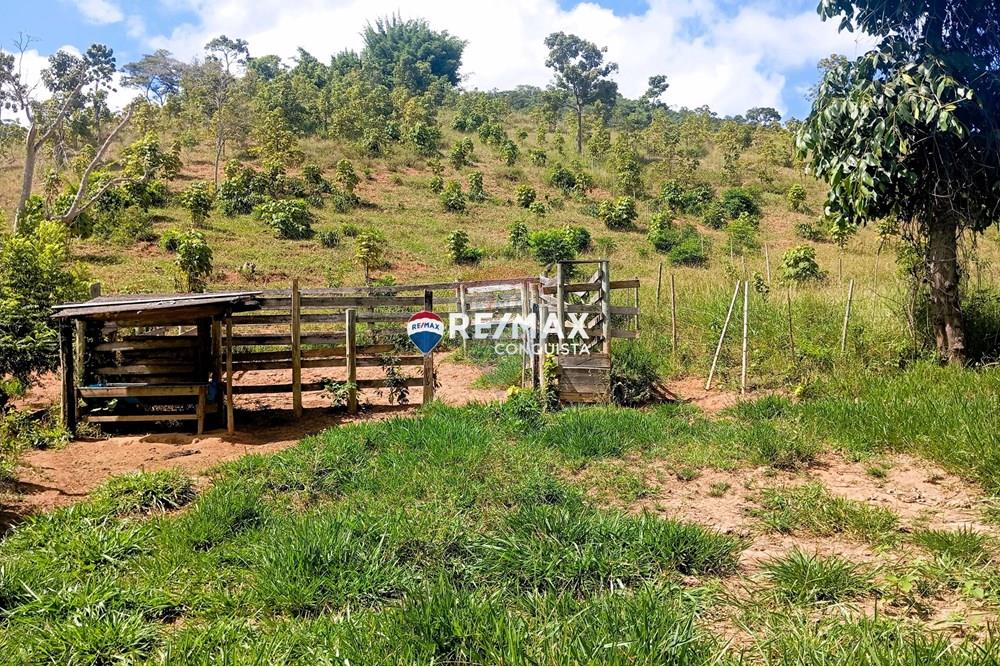 Chácara / Sítio / Fazenda - Venda - Conceição de Ipanema , Minas Gerais - 6_image_6_watermark_sáb._12042025_141556.jpg - 870451013-61