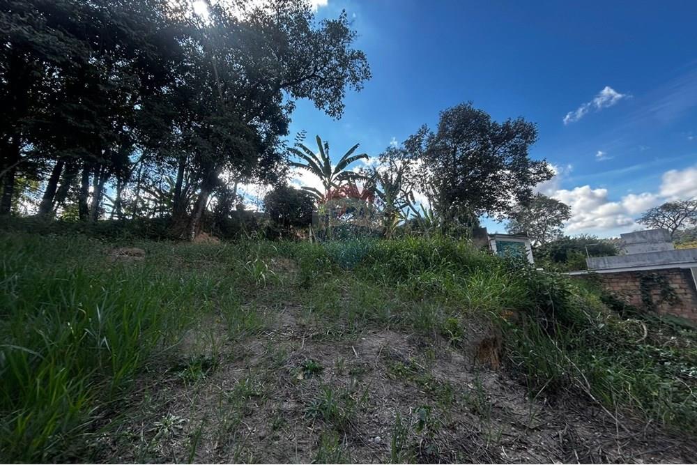 Chácara / Sítio / Fazenda - Venda - Sarzedo , Minas Gerais - lote13008.jpg - 870351054-22