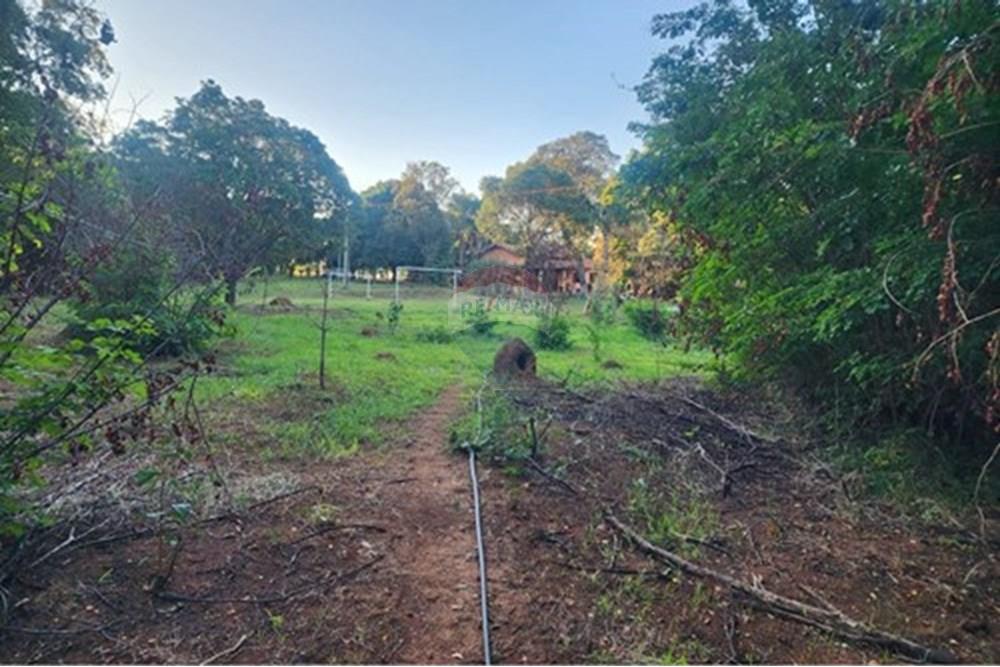Chácara / Sítio / Fazenda - Venda - Ibirité , Minas Gerais - L_0229c7a8-cd2e-404a-b23c-b64ab04aec06.jpg - 870241024-77