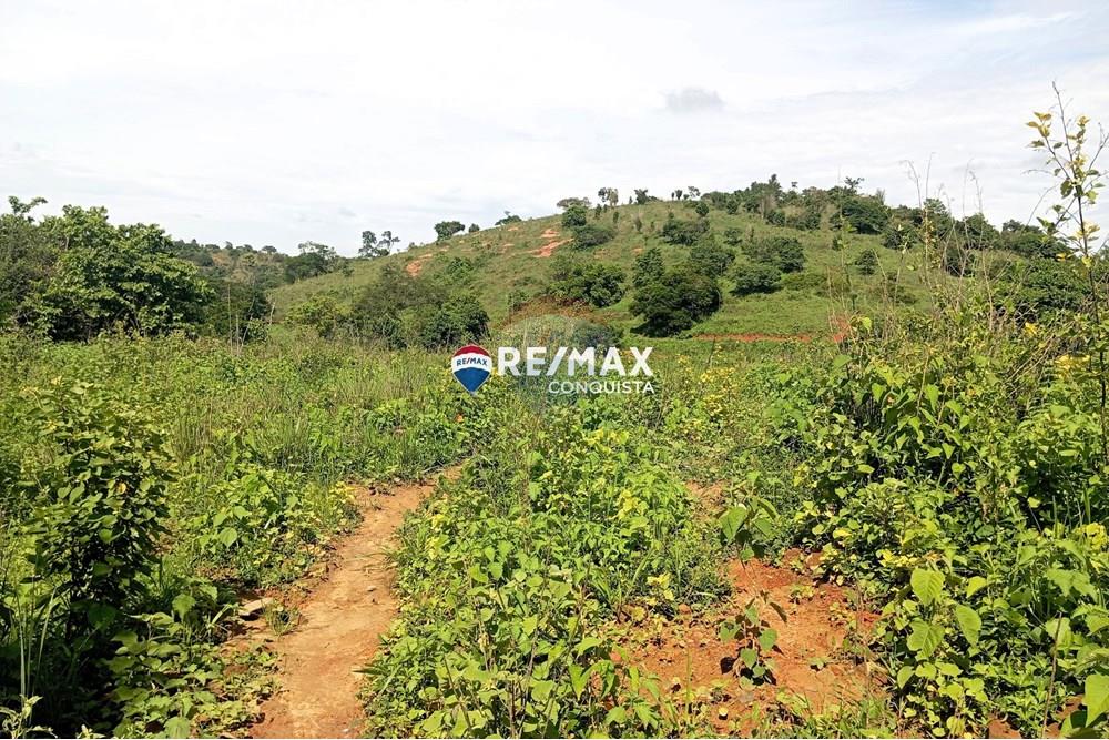 Chácara / Sítio / Fazenda - Venda - Pocrane , Minas Gerais - 0_IMG_20241203_083810_watermark_sex._13122024_135650.jpg - 870451001-114