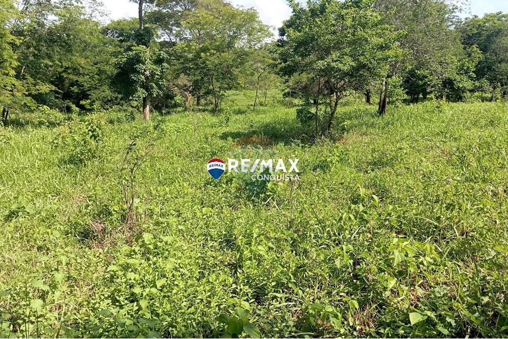 Chácara / Sítio / Fazenda - Venda - Pocrane , Minas Gerais - 5_IMG_20241203_085631_watermark_sex._13122024_135947.jpg - 870451001-114