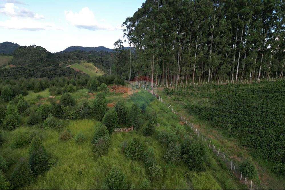 Fazenda - Venda - Bandeira do Sul , Minas Gerais - DJI_0848.JPG - 870361041-103