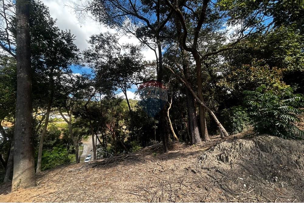 Chácara / Sítio / Fazenda - Venda - Sarzedo , Minas Gerais - lote130018.jpg - 870351054-22