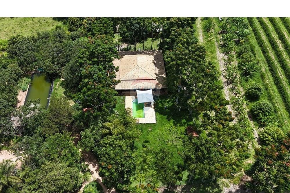 Chácara / Sítio / Fazenda - Venda - Araxá , Minas Gerais - FAZENDA 6.jpeg - 870431058-4