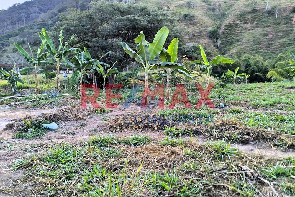 Chácara / Sítio / Fazenda - Venda - Conceição de Ipanema , Minas Gerais - 0_image_0_watermark_seg._01092025_205252.jpg - 870451001-144