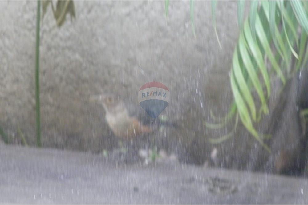 Apartamento - Venda - Belo Horizonte , Minas Gerais - P2260136.JPG - 870241013-103