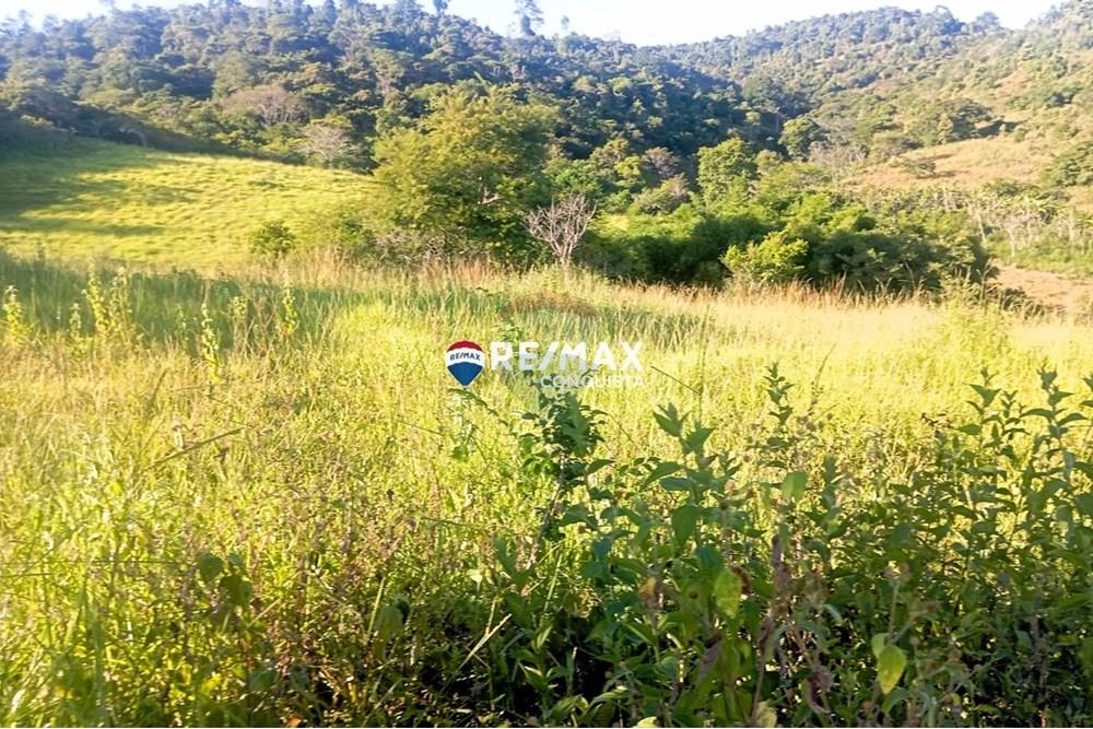 Chácara / Sítio / Fazenda - Venda - Pocrane , Minas Gerais - WhatsApp Image 2025-04-08 at 09.40.27.jpeg - 870451001-124