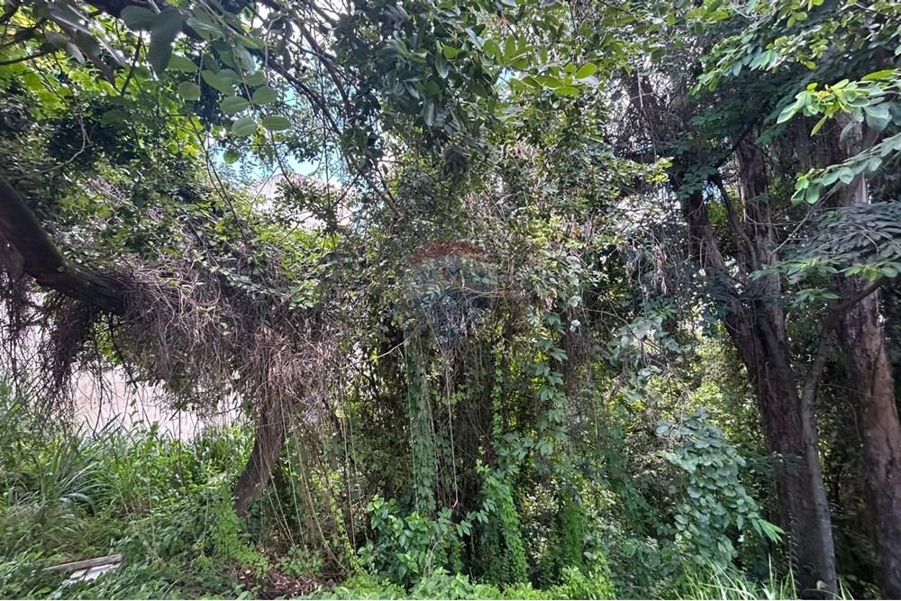 Terreno - Venda - Varginha , Minas Gerais - WhatsApp Image 2025-01-06 at 08.56.50.jpeg - 870641024-11