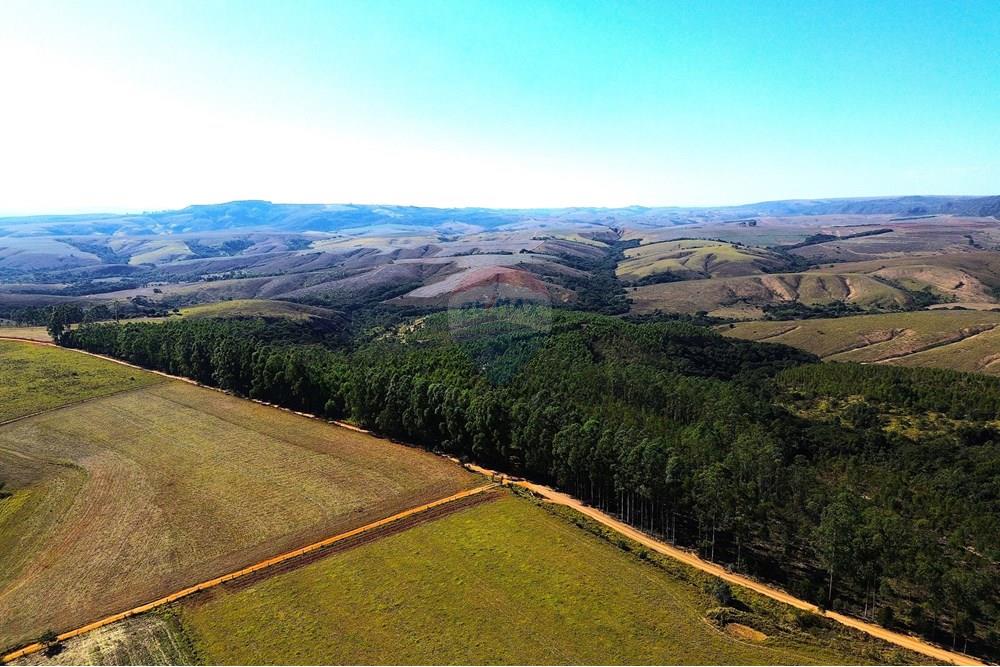 Chácara / Sítio / Fazenda - Venda - Araxá , Minas Gerais - 10.JPG - 870431045-49