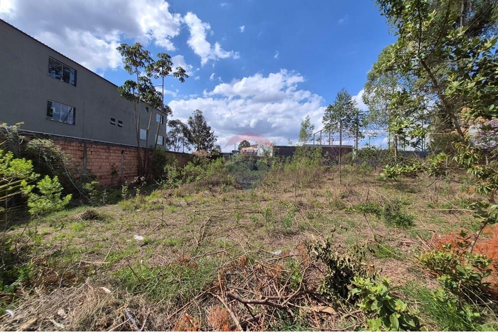Terreno - Venda - Nova Lima , Minas Gerais - Foto 12.jpeg - 870421061-60