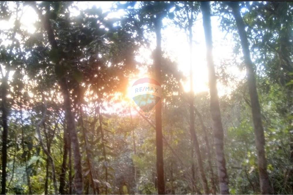 Casa - Venda - Ouro Preto , Minas Gerais - foto 3.jpg - 870241099-32