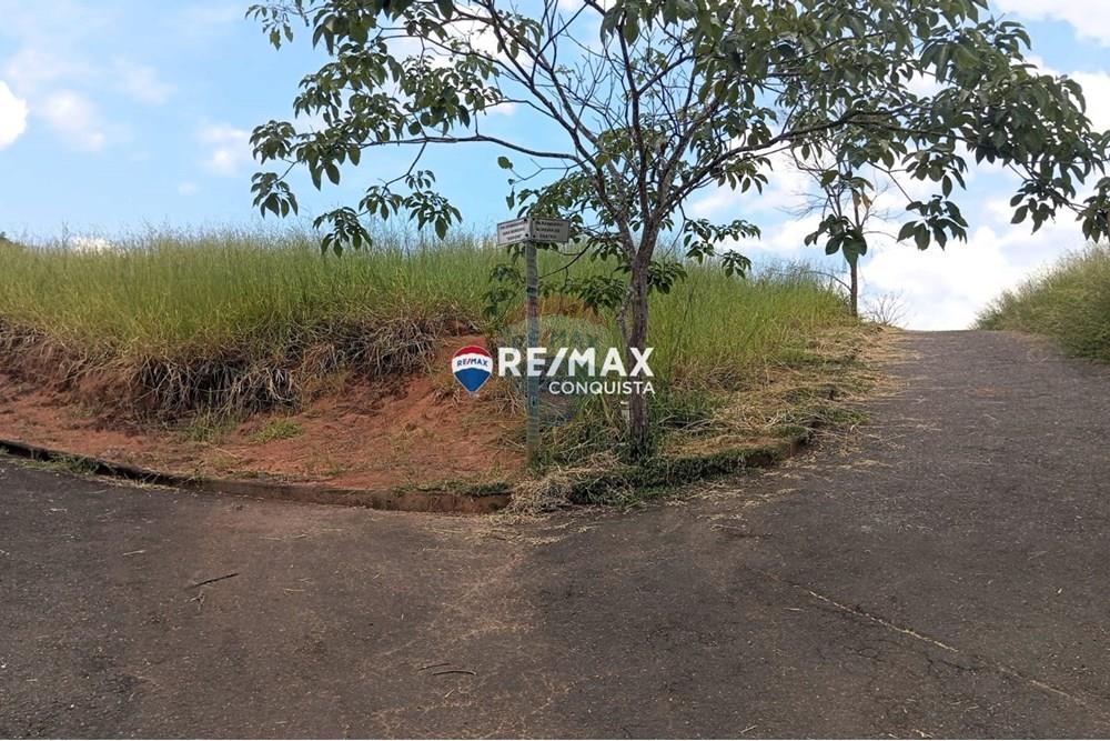 Chácara / Sítio / Fazenda - Venda - Ipanema , Minas Gerais - WhatsApp Image 2025-02-19 at 16.28.35(4).jpeg - 870451013-54