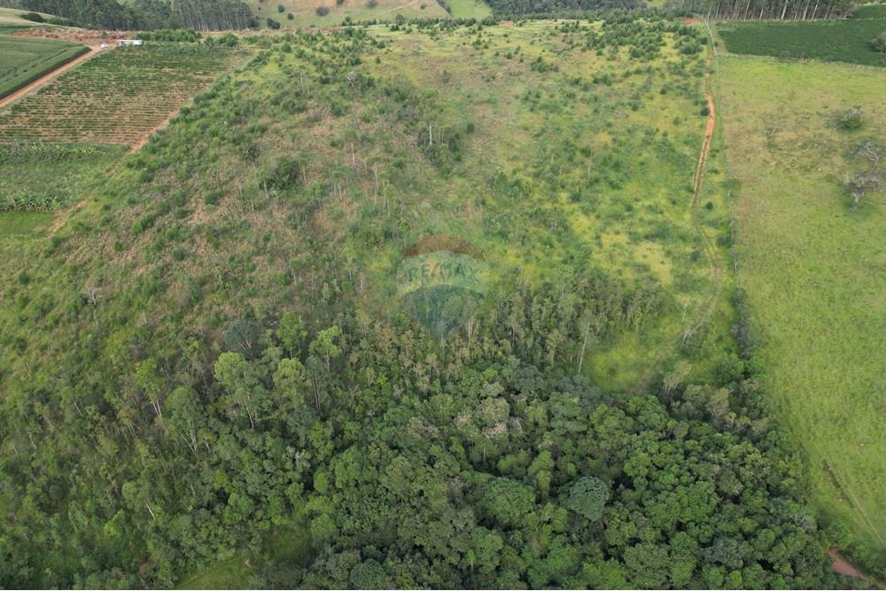 Fazenda - Venda - Bandeira do Sul , Minas Gerais - DJI_0840.JPG - 870361041-103