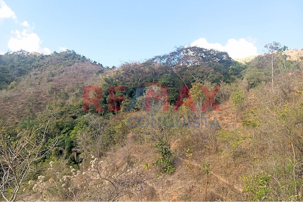 Chácara / Sítio / Fazenda - Venda - Ipanema , Minas Gerais - 3_image_3_watermark_seg._15092025_150603.jpg - 870451013-72