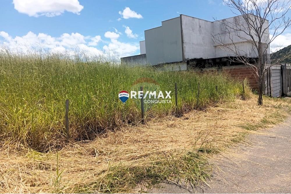 Chácara / Sítio / Fazenda - Venda - Ipanema , Minas Gerais - WhatsApp Image 2025-02-19 at 16.28.34(1).jpeg - 870451013-54