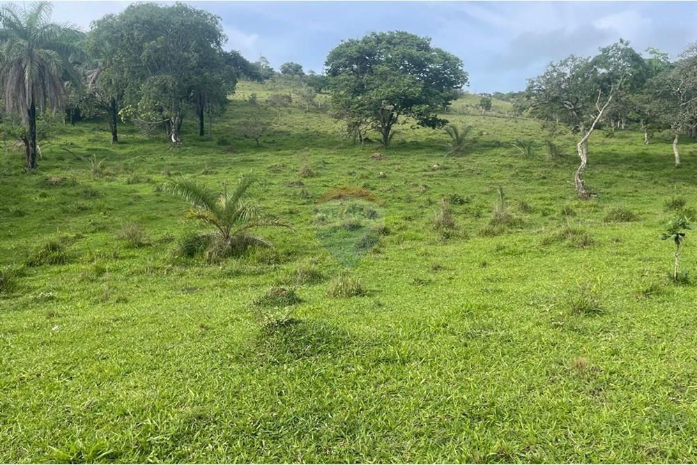 Chácara / Sítio / Fazenda - Venda - Araxá , Minas Gerais - 04.jpg - 870431045-24