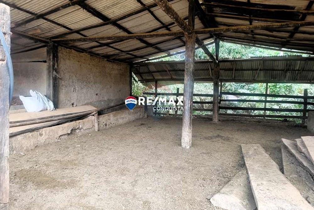 Chácara / Sítio / Fazenda - Venda - Ipanema , Minas Gerais - 8_IMG_20240515_082029_watermark_dom._23062024_100004.jpg - 870451001-121