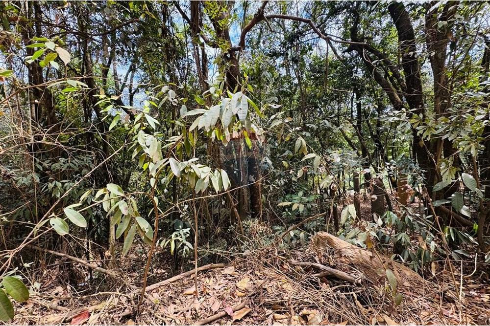 Chácara / Sítio / Fazenda - Venda - Caeté , Minas Gerais - IMG-20251030-WA0332.jpg - 870421116-90