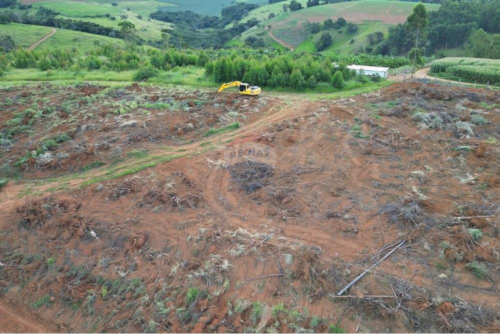 Fazenda - Venda - Bandeira do Sul , Minas Gerais - DJI_0800.JPG - 870361041-103