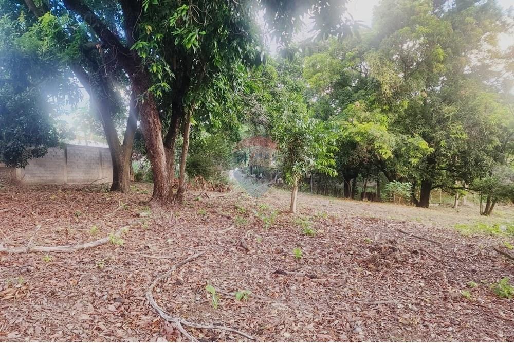 Terreno - Venda - Matozinhos , Minas Gerais - lote mtz01 (3).jpeg - 870241024-58