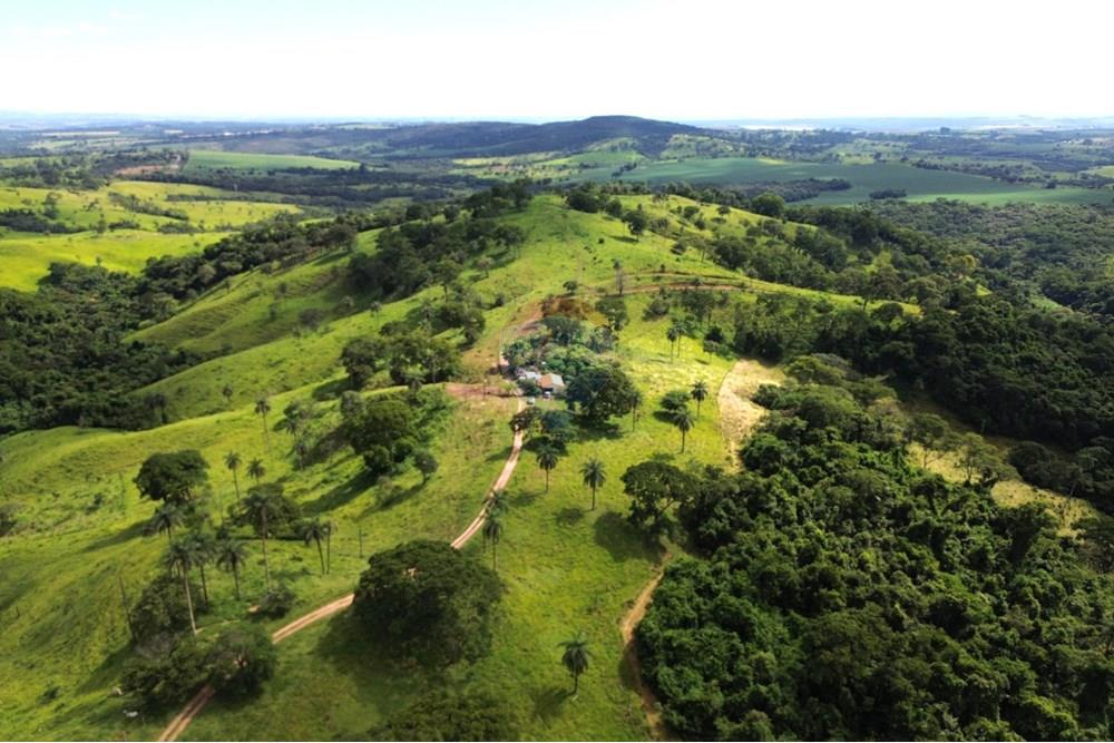 Chácara / Sítio / Fazenda - Venda - Araxá , Minas Gerais - 02.1.JPG - 870431045-37