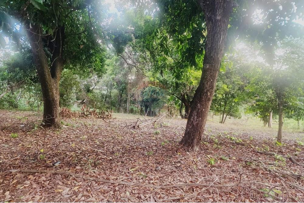 Terreno - Venda - Matozinhos , Minas Gerais - lote mtz01 (9).jpeg - 870241024-58