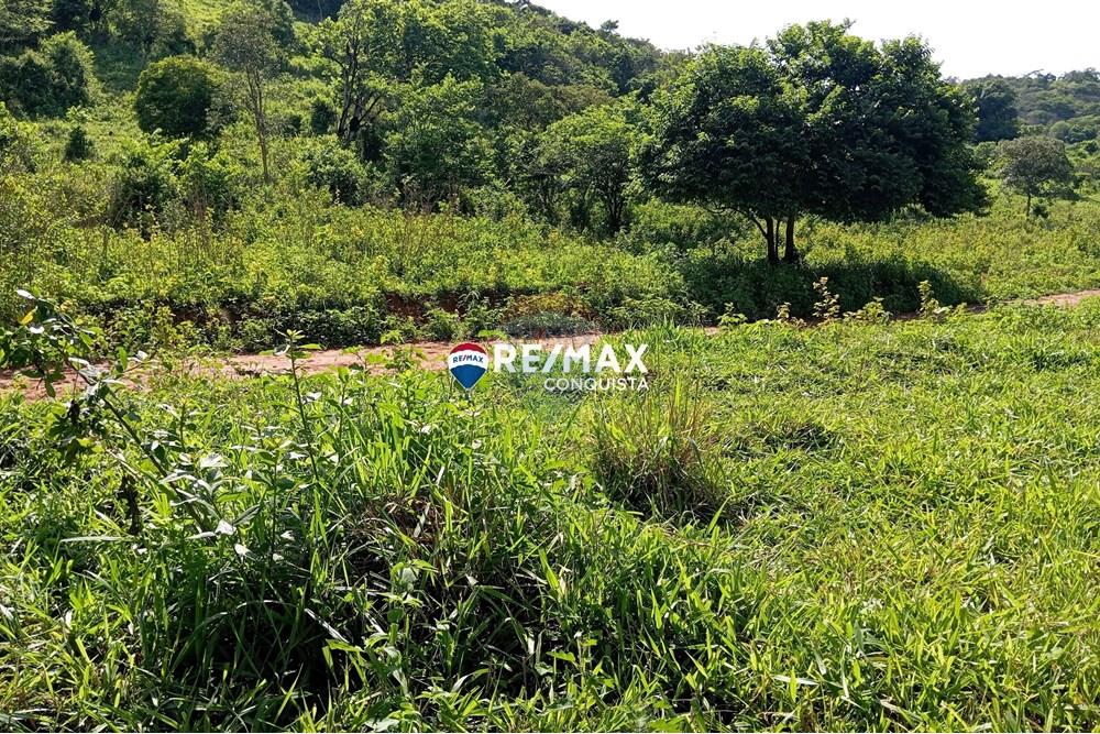 Chácara / Sítio / Fazenda - Venda - Pocrane , Minas Gerais - 6_IMG_20241203_082005_watermark_sex._13122024_134943.jpg - 870451001-114