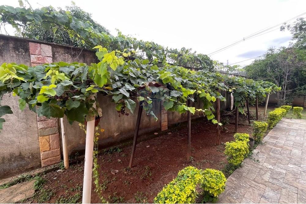 Casa - Venda - Belo Horizonte , Minas Gerais - PHOTO-2025-04-23-12-02-56 (62).jpg - 870241105-12