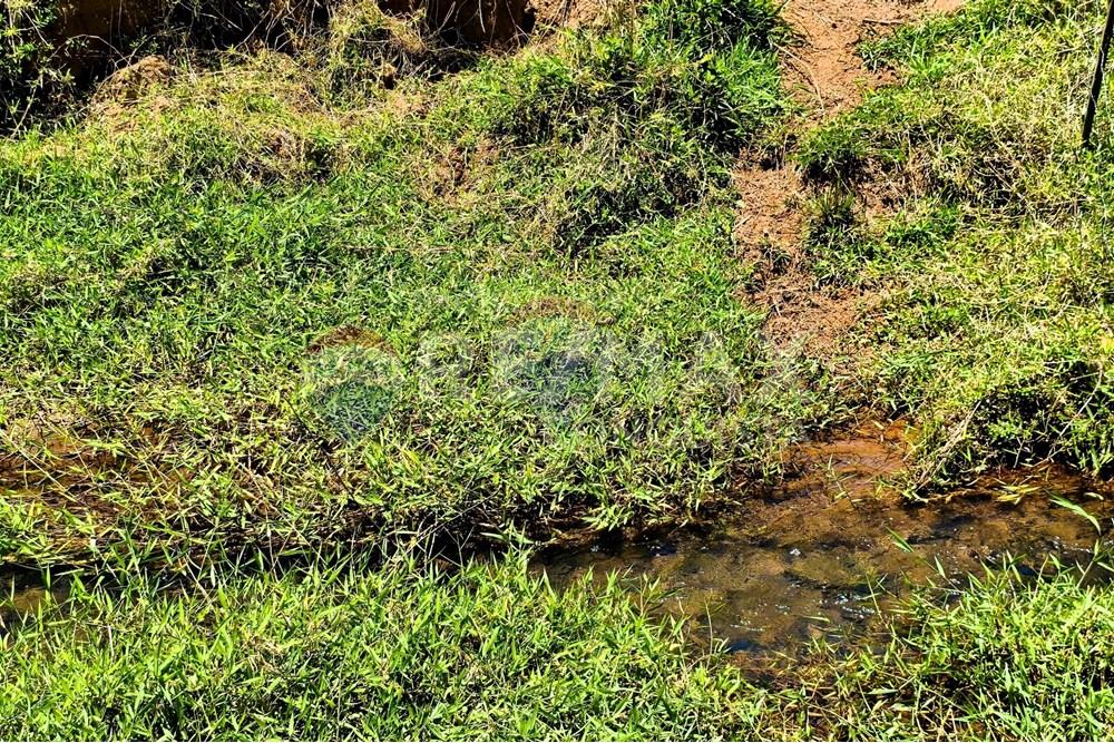 Chácara / Sítio / Fazenda - Venda - Ipanema , Minas Gerais - 7_image_7_watermark_qua._29102025_112136.jpg - 870451004-107