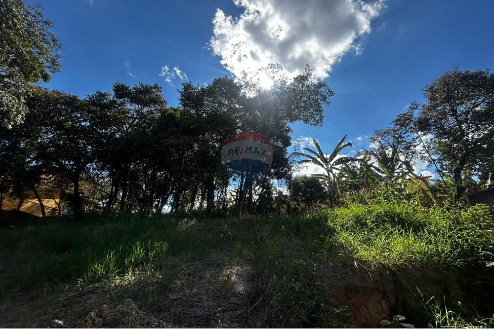 Chácara / Sítio / Fazenda - Venda - Sarzedo , Minas Gerais - lote130013.jpg - 870351054-22