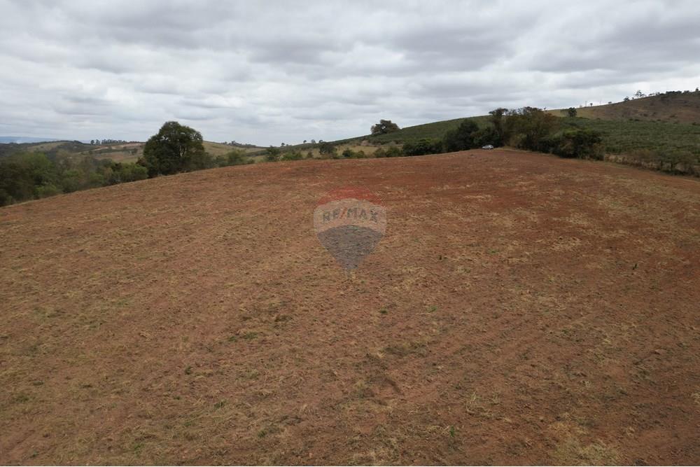 Chácara / Sítio / Fazenda - Venda - Três Corações , Minas Gerais - DJI_0004.JPG - 870361041-120