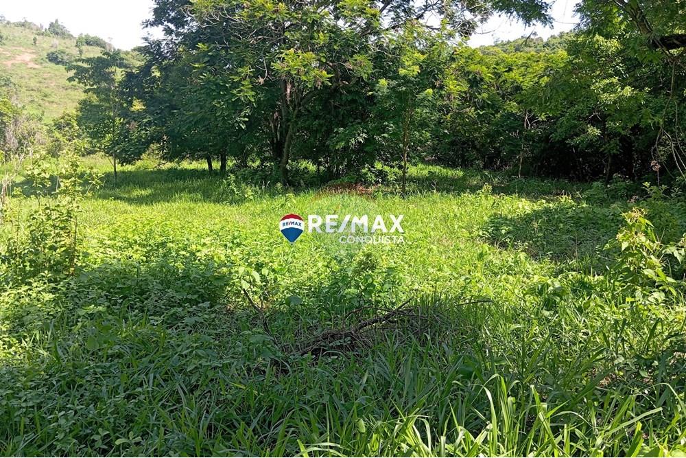 Chácara / Sítio / Fazenda - Venda - Pocrane , Minas Gerais - 5_IMG_20241203_090039_watermark_sex._13122024_135419.jpg - 870451001-114