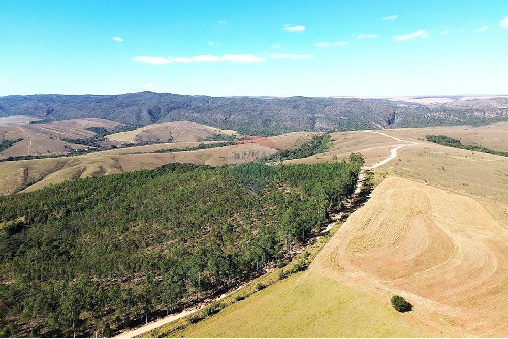 Chácara / Sítio / Fazenda - Venda - Araxá , Minas Gerais - 1.1.JPG - 870431045-49