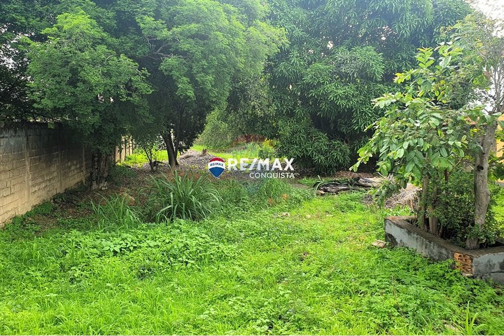 Terreno - Venda - Ipanema , Minas Gerais - 7_20241108_150325_watermark_sáb._09112024_094447.jpg - 870451001-107